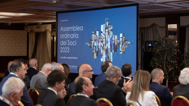 Image of the Audience