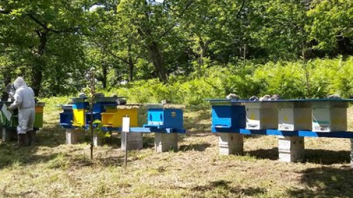 L’Oasi della Biodiversità del Gruppo Cassa Centrale - immagine 5