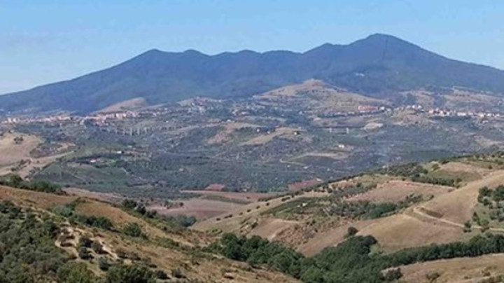 L’Oasi della Biodiversità del Gruppo Cassa Centrale - immagine 6