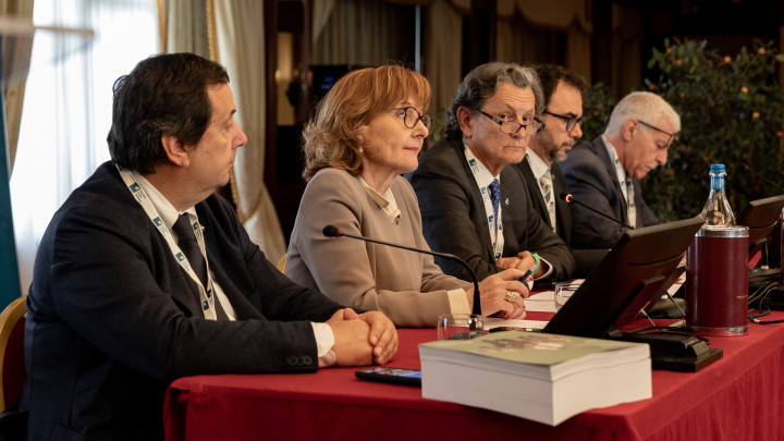 Antiga, Cavalli, Fracalossi, Bolognesi, Singer-Image of speakers talking to the audience